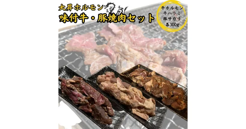 【ふるさと納税】【特製たれ付き】味付け牛・豚焼肉セット900g【牛ハラミ300g/牛ホルモン300g/豚サガリ300g】　 お肉 バーベキュー BBQ おうち焼肉 休日 夕飯 肉料理