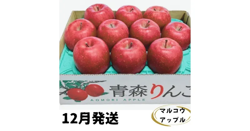 【ふるさと納税】【12月発送】訳あり 家庭用 濃厚サンふじ 約3kg 糖度13度以上【青森りんご・マルコウアップル】　 りんご リンゴ 林檎 サンふじ 3kg マルコウアップル フルーツ 果物 訳アリ 青森 　お届け：2024年12月上旬～