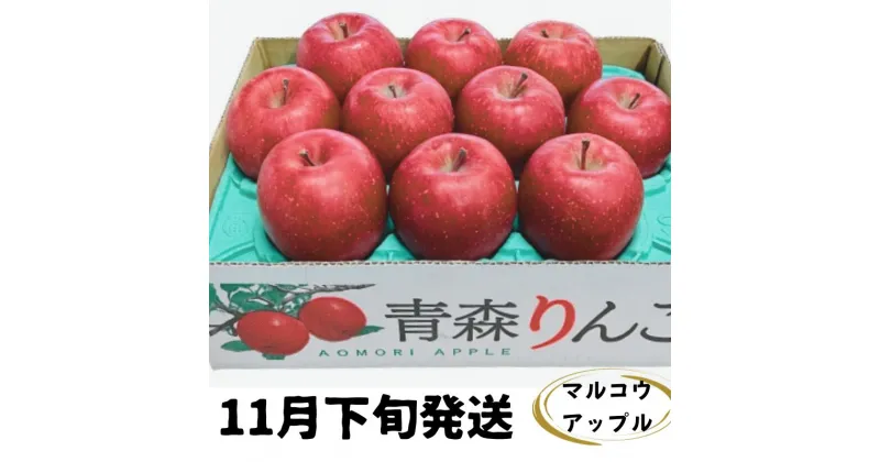 【ふるさと納税】【11月下旬発送】訳あり 家庭用 濃厚サンふじ 約3kg 糖度13度以上【青森りんご・マルコウアップル】　板柳町　お届け：2024年11月下旬～