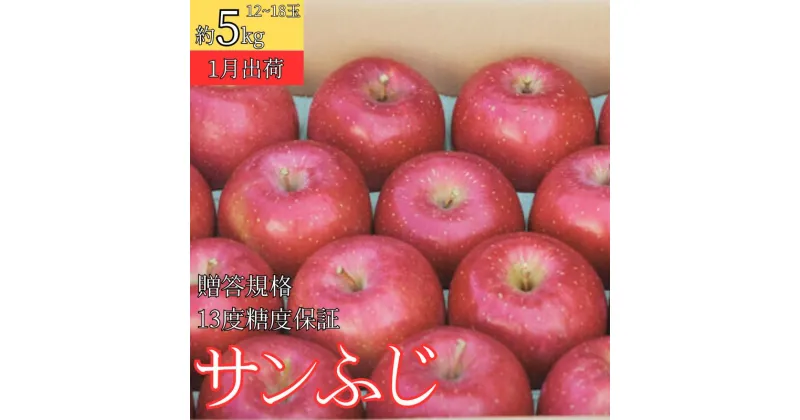 【ふるさと納税】1月 贈答規格 サンふじ約5kg（12～18個）13度糖度保証【青森りんご・ゆうきアップル・1月】　板柳町　お届け：2025年1月10日～2025年1月25日