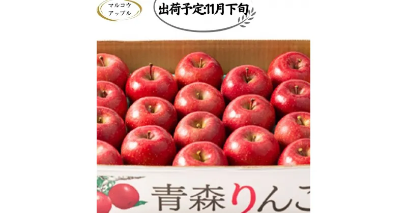 【ふるさと納税】【11月下旬発送】 特A 濃厚サンふじ約5kg　糖度13度以上【青森りんご・マルコウアップル】　板柳町　お届け：2024年11月下旬～2024年11月30日