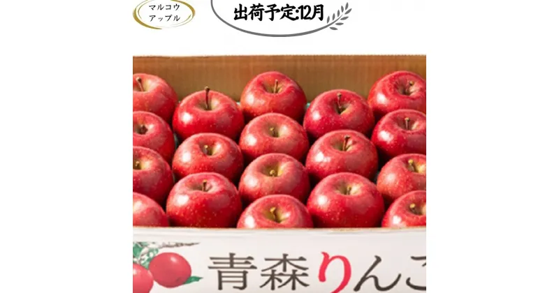 【ふるさと納税】【12月発送】 特A 濃厚サンふじ約5kg　糖度13度以上【青森りんご・マルコウアップル】　板柳町　お届け：2024年12月1日～2024年12月30日