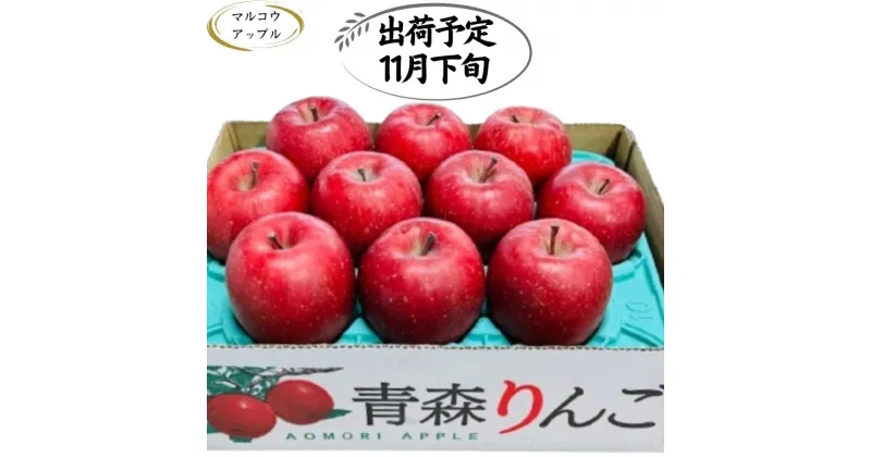 【ふるさと納税】【11月下旬発送】 特A 濃厚サンふじ約3kg　糖度13度以上【青森りんご・マルコウアップル】　板柳町　お届け：2024年11月下旬～2024年11月30日