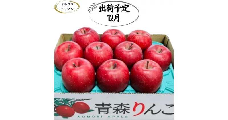 【ふるさと納税】【12月発送】特A 濃厚サンふじ約3kg　糖度13度以上【青森りんご・マルコウアップル】　板柳町　お届け：2024年12月1日～2024年12月30日