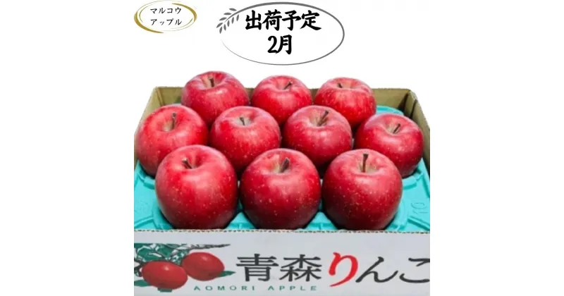 【ふるさと納税】【2月発送】特A 濃厚サンふじ約3kg 糖度13度以上【青森りんご・マルコウアップル】　板柳町　お届け：2025年2月1日～2025年2月28日