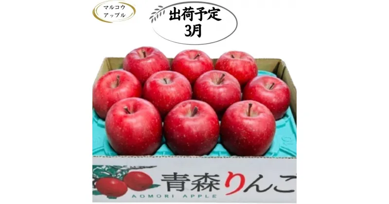 【ふるさと納税】【3月発送】特A 濃厚サンふじ約3kg 糖度13度以上【青森りんご・マルコウアップル】　板柳町　お届け：2025年3月1日～2025年3月31日