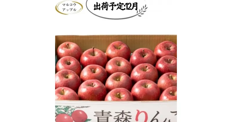 【ふるさと納税】【12月発送】 家庭用濃厚サンふじ約5kg　糖度13度以上【訳あり】青森津軽りんご　板柳町　お届け：2024年12月1日～2024年12月30日