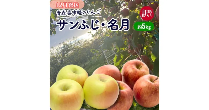 【ふるさと納税】【12月発送】【訳あり】青森県津軽のりんご「サンふじ・名月」約5kg【里いちみfarm】　板柳町　お届け：2024年12月1日～2024年12月25日