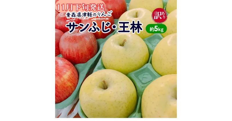 【ふるさと納税】【11月下旬発送】【訳あり】青森県津軽のりんご「サンふじ・王林」約5kg【里いちみfarm】　板柳町　お届け：2024年11月20日～2024年11月30日