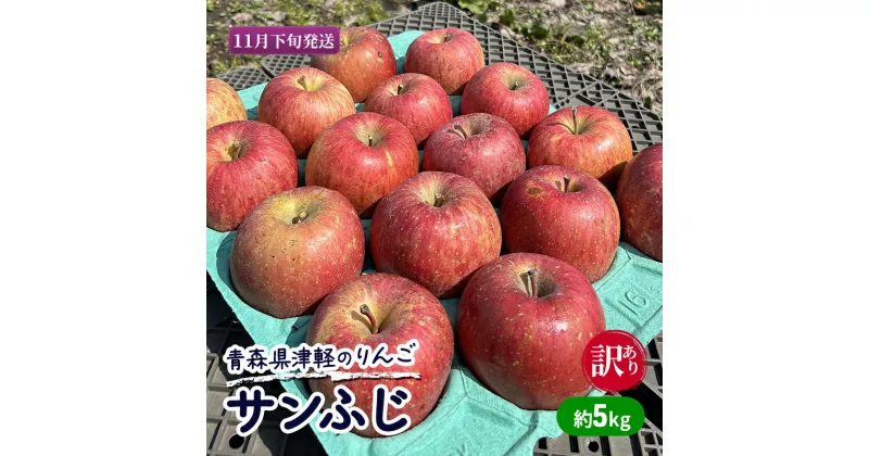 【ふるさと納税】【11月下旬発送】【訳あり】青森県津軽のりんご「サンふじ」約5kg【里いちみfarm】　板柳町　お届け：2024年11月20日～2024年11月30日