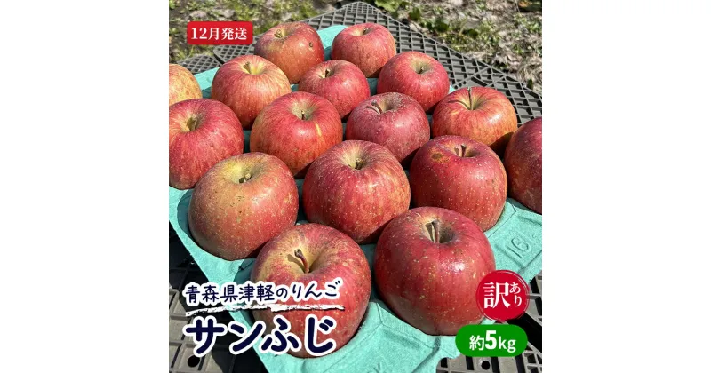 【ふるさと納税】【12月発送】【訳あり】青森県津軽のりんご「サンふじ」約5kg【里いちみfarm】　板柳町　お届け：2024年12月1日～2024年12月25日