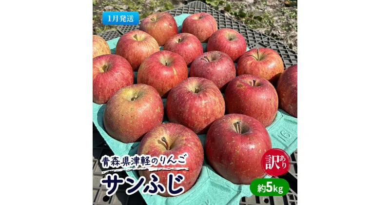 【ふるさと納税】【1月発送】【訳あり】青森県津軽のりんご「サンふじ」約5kg【里いちみfarm】　板柳町　お届け：2025年1月8日～2025年1月30日