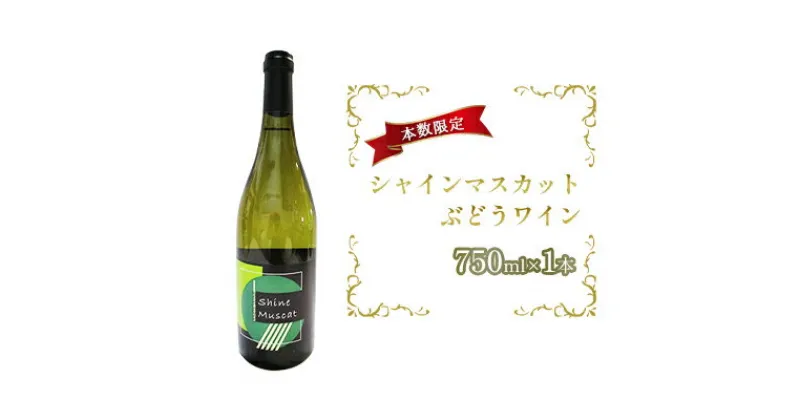 【ふるさと納税】シャインマスカットぶどうワイン 750ml×1本　白ワイン・お酒・ワイン・シャインマスカット種・酒・アルコール