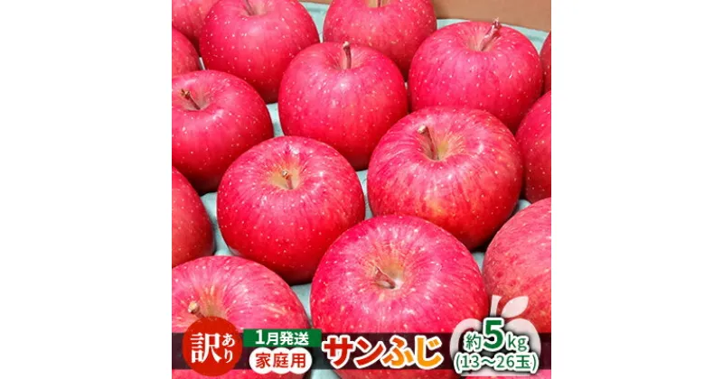 【ふるさと納税】1月発送 家庭用 サンふじ 約5kg【訳あり】【原正りんご 青森県産 津軽産 リンゴ 林檎】　 果物類 林檎 りんご リンゴ 希少 葉取らず 完熟 安心 丸かじり サンふじ 甘い 高糖度 訳あり 　お届け：2025年1月10日～2025年1月31日