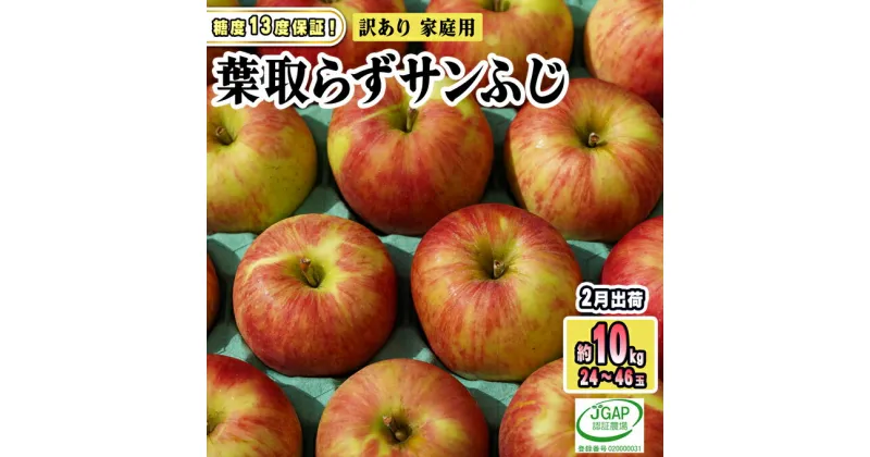 【ふるさと納税】2月発送【糖度保証】家庭用 葉取らず サンふじ 約10kg【訳あり】【鶴翔りんごGAP部会 青森県産 津軽産 リンゴ 林檎】　 果物 りんご 希少 完熟 JGAP認証 安心 丸かじり サンふじ 甘い 高糖度 訳あり 　お届け：2025年2月1日～2025年2月28日