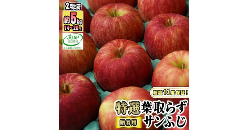 【ふるさと納税】2月発送【糖度保証】贈答用 葉取らず サンふじ 約5kg 【特選】【鶴翔りんごGAP部会 青森県産 津軽産 リンゴ 林檎】　 果物 りんご 希少 完熟 JGAP認証 安心 丸かじり サンふじ 甘い 高糖度 贈答用 ギフト 　お届け：2025年2月1日～2025年2月28日