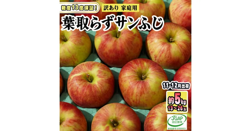 【ふるさと納税】11～12月発送【糖度保証】家庭用 葉取らず サンふじ 約5kg【訳あり】【鶴翔りんごGAP部会 青森県産 津軽産 リンゴ 林檎】　 果物 フルーツ デザート 食後 甘味 酸味 食感 　お届け：2024年11月20日～2024年12月28日