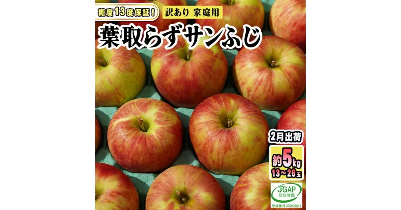 【ふるさと納税】2月発送【糖度保証】家庭用 葉取らず サンふじ 約5kg【訳あり】【鶴翔りんごGAP部会 青森県産 津軽産 リンゴ 林檎】　 果物 フルーツ デザート 食後 甘味 酸味 食感 果汁たっぷり 青森りんご 国産 　お届け：2025年2月1日～2025年2月28日