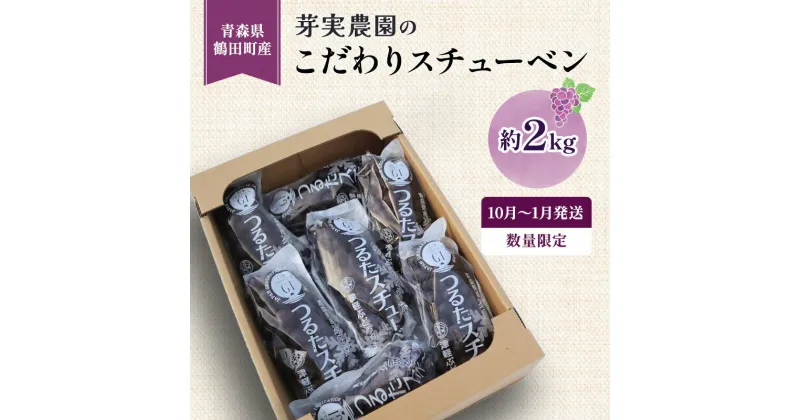 【ふるさと納税】【数量限定】芽実農園の農家直送スチューベン 約2kg【10月～1月発送】青森県鶴田町産　 果物 フルーツ ぶどう おやつ デザート 食後 冬ぶどう 　お届け：2024年10月1日～2025年1月31日