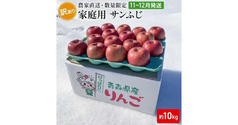 【ふるさと納税】【農家直送・数量限定】 11～12月発送 家庭用 サンふじ 約10kg 【訳あり】 　 果物 フルーツ 青森りんご シャキシャキ 農家直送 　お届け：2024年11月中旬～2024年12月中旬まで