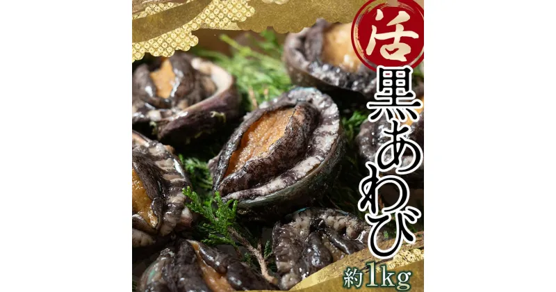 【ふるさと納税】中泊直送 天然 ”活” 黒あわび 約1kg 【卓立水産】貝 海鮮 津軽海峡 活鮑 活あわび 活アワビ 黒鮑 黒アワビ アワビ 鮑 天然 産地直送 海産 魚貝 魚介 中泊町 青森 F6N-026