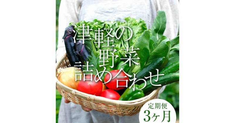 【ふるさと納税】津軽の季節の野菜詰め合わせセット 《定期便》【3ヶ月連続】 【中泊町特産物直売所ピュア】旬の野菜 旬野菜 旬 新鮮 食品 グルメ 詰め合わせ ファーマーズマーケット 甘い サラダ 国産 お取り寄せ 青森 F6N-098