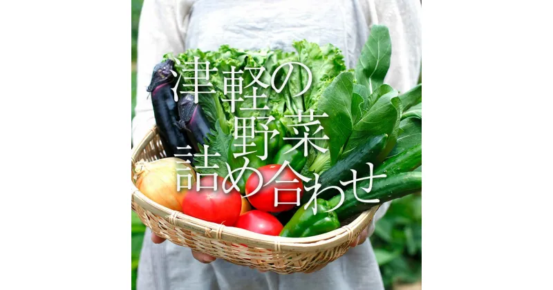 【ふるさと納税】津軽の季節の野菜詰め合わせセット 【中泊町特産物直売所ピュア】旬の野菜 旬野菜 旬 新鮮 食品 グルメ 詰め合わせ 冷蔵 ファーマーズマーケット 野菜 美味しい 甘い サラダ 中泊町 青森 F6N-022