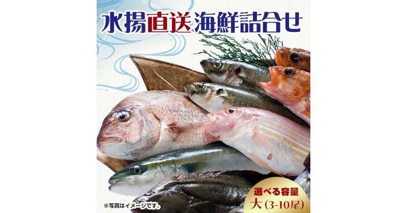 【ふるさと納税】中泊水揚直送 海鮮詰合せ 大 （3～10尾程度） ※下処理済み 【徐福の里物産品直売所】 旬 詰め合わせ 魚 海鮮 ウスメバル メバル めばる 直送 ソイ カレイ ヒラメ 真鯛 タイ イカ タコ F6N-018