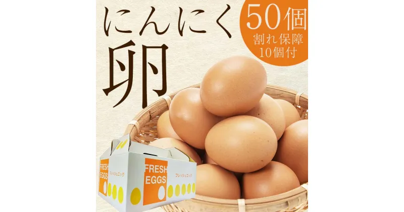 【ふるさと納税】青森県産 にんにく卵 50個 （割れ保障10個付） 【修清】 たまご タマゴ 玉子 エッグ にんにく 栄養 濃厚 甘み 卵かけご飯 特産品 地元 中泊町 青森 F6N-079