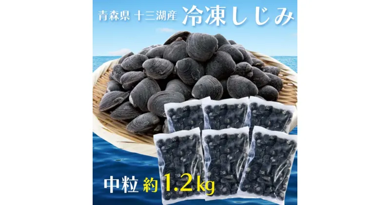 【ふるさと納税】青森県 十三湖産 冷凍しじみ （中粒） 約1.2kg 【小野や】貝 しじみ 蜆 シジミ 魚貝 魚貝類 魚介類 冷凍 調理 料理 中泊町 青森 F6N-093