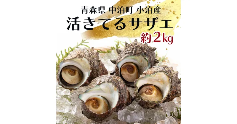 【ふるさと納税】活きてるサザエ 約2kg 【卓立水産】 天然 貝 つぶ さざえ 栄螺 つぼ焼き 海鮮 魚介 魚貝 海産 刺身 BBQ バーベキュー 生 中泊町 青森 F6N-094