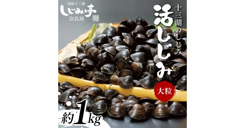 【ふるさと納税】 十三湖のしじみ 活しじみ 大粒 約1kg 【奈良屋】 蜆 シジミ 魚貝類 貝 オルニチン 十三 F6N-161