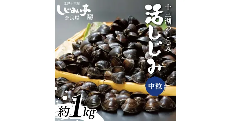 【ふるさと納税】 十三湖のしじみ 活しじみ 中粒 約1kg 【奈良屋】 蜆 シジミ 魚貝類 貝 オルニチン 十三 F6N-162