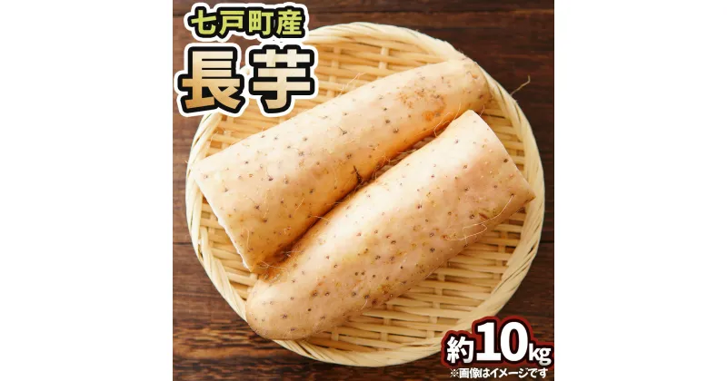 【ふるさと納税】七戸産 長芋 10kg 【山芋 ながいも とろろ 白米 ご飯のお供 粘り ヘルシー あっさり 新鮮 野菜 青森県 七戸町 常温 贈り物 お中元 ギフト】【02402-0055】