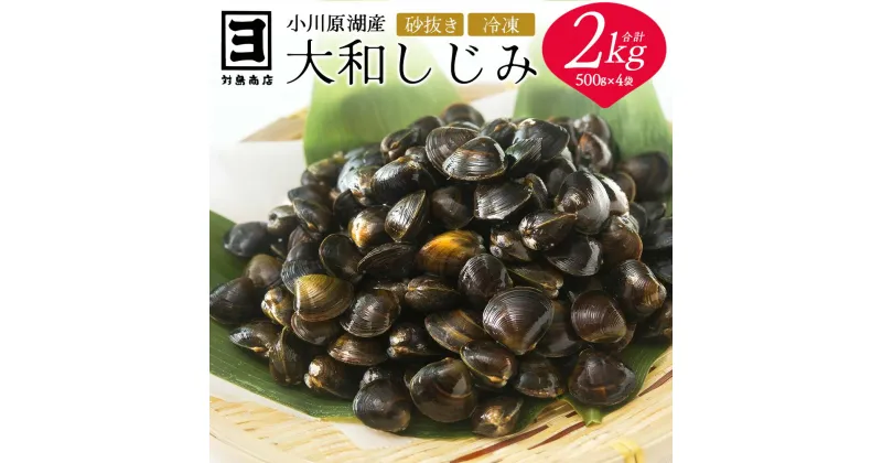 【ふるさと納税】砂抜き済みで手間いらず！冷凍・小川原湖産大和しじみ2kg（500g×4袋）【02408-0084】# 大和しじみ しじみ 小川原湖 東北町 青森県 砂抜き 冷凍 対島商店