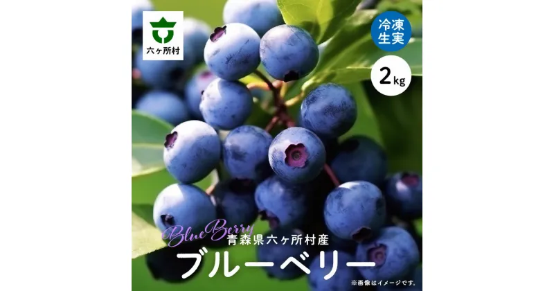 【ふるさと納税】《先行予約 2025年8月中旬～順次出荷》六ヶ所村産 ブルーベリー 冷凍 生実 2kg 果物 国産 フルーツ 果実 ジャム スムージー 旬 新鮮 甘い グルメ お取り寄せ ギフト 訳あり お歳暮 返礼品 六ヶ所村 青森 送料無料 【就労継続支援B型事業所かけはし】