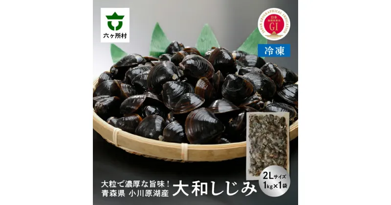 【ふるさと納税】小川原湖産 冷凍 大和しじみ 2Lサイズ 1kg シジミ 蜆 魚介 貝 味噌汁 みそ汁 旬 新鮮 グルメ お取り寄せ ギフト お中元 お歳暮 ふるさと 返礼品 六ヶ所村 青森 送料無料 【小川原湖漁業協同組合】