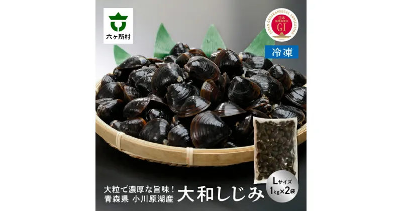 【ふるさと納税】小川原湖産 冷凍 大和しじみ Lサイズ 2kg シジミ 蜆 魚介 貝 味噌汁 みそ汁 旬 新鮮 グルメ お取り寄せ ギフト お中元 お歳暮 ふるさと 返礼品 六ヶ所村 青森 送料無料 【小川原湖漁業協同組合】