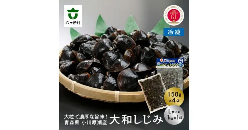 【ふるさと納税】小川原湖産 冷凍 大和しじみ Lサイズ 1.6kg シジミ 蜆 魚介 貝 味噌汁 みそ汁 旬 新鮮 グルメ お取り寄せ ギフト お中元 お歳暮 ふるさと 返礼品 六ヶ所村 青森 送料無料 【小川原湖漁業協同組合】