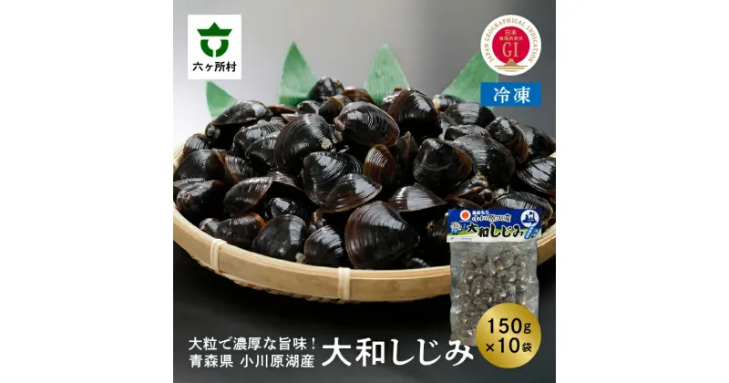 【ふるさと納税】小川原湖産 冷凍 大和しじみ Lサイズ 1.5kg シジミ 蜆 魚介 貝 味噌汁 みそ汁 旬 新鮮 グルメ お取り寄せ ギフト お中元 お歳暮 ふるさと 返礼品 六ヶ所村 青森 送料無料 【小川原湖漁業協同組合】