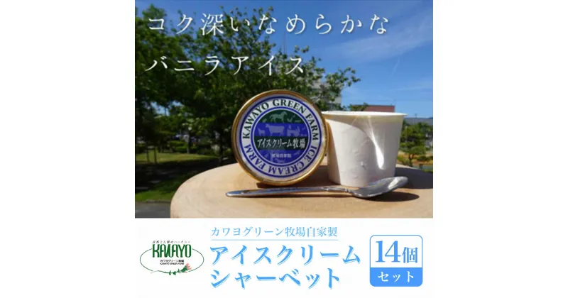 【ふるさと納税】カワヨグリーン牧場自家製アイスクリーム、シャーベット14個セット ふるさと納税 14個 セット アイスクリーム シャーベット バニラ 人気 詰合せ アソート 牧場 ミルク ホルスタイン ジャージー ブラウンスイス牛 おいらせ 青森県 おいらせ町 送料無料 OIR201