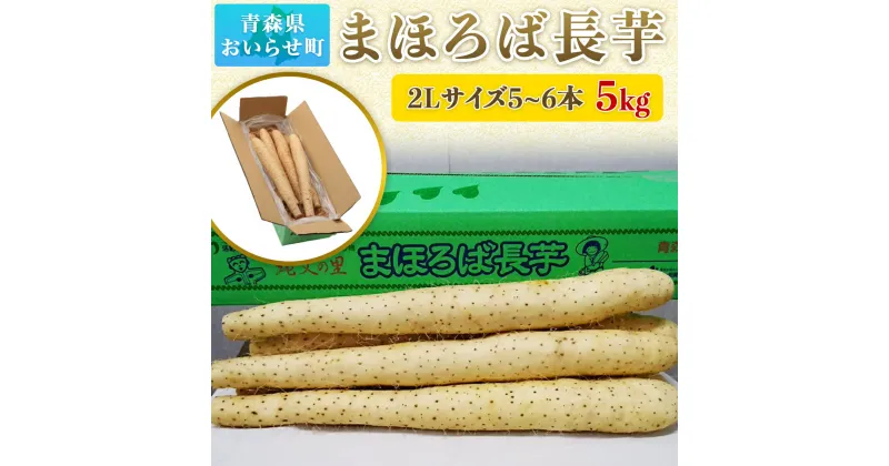 【ふるさと納税】まほろば長芋5kg ふるさと納税 人気 おすすめ ランキング 2L 5kg 長芋 ながいも まほろば 野菜 おいらせ 青森 青森県産 青森県 おいらせ町 送料無料 OIT206