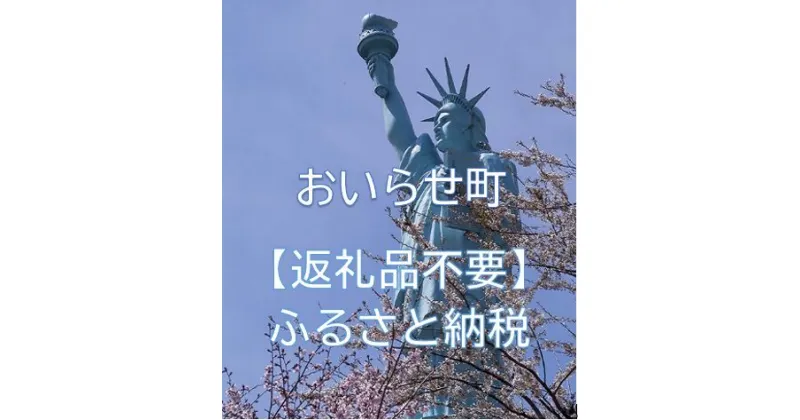 【ふるさと納税】青森県おいらせ町への寄附（返礼品はありません） ふるさと納税 人気 おすすめ ランキング 寄附 寄付金 納税 節税 青森県 おいらせ町 送料無料 OIV201