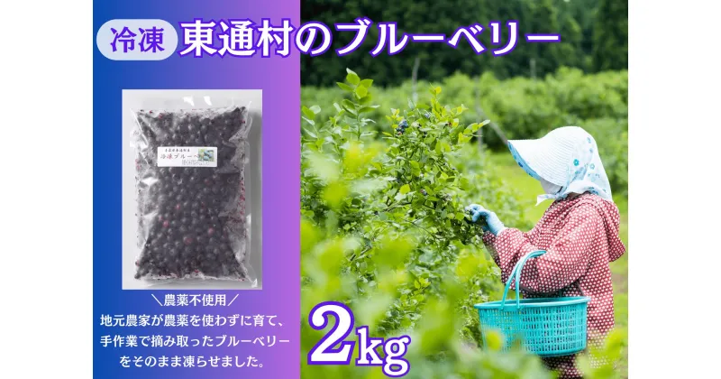 【ふるさと納税】冷凍ブルーベリー（2kg）