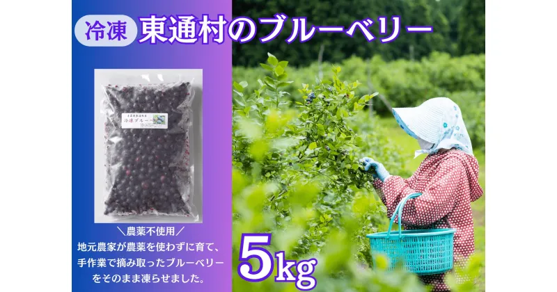 【ふるさと納税】冷凍ブルーベリー（5kg）