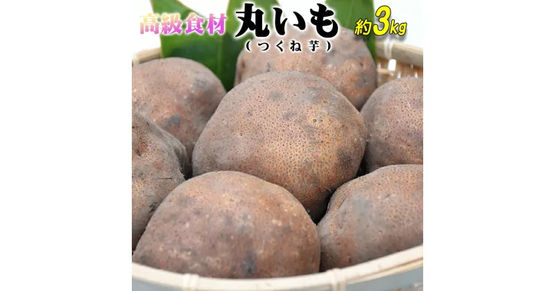 【ふるさと納税】ねばりが凄い！高級食材「丸いも」（つくね芋）約3kg【2024年産・先行予約】青森県産 高級 丸いも つくねいも やまいも いも イモ 芋 滋養強壮 健康 食品 青森 東北 地方 三戸町