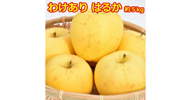 【ふるさと納税】高級りんご 訳あり はるか 12～20玉 約5kg【2024年産 先行予約 | 12月上旬～12月下旬頃に順次発送予定】りんご 林檎 フルーツ 果物 果実 青森 青森県 青森県産 三戸 三戸町 高級 産地直送 農家直送 ふるさと納税 ふるさと 送料無料