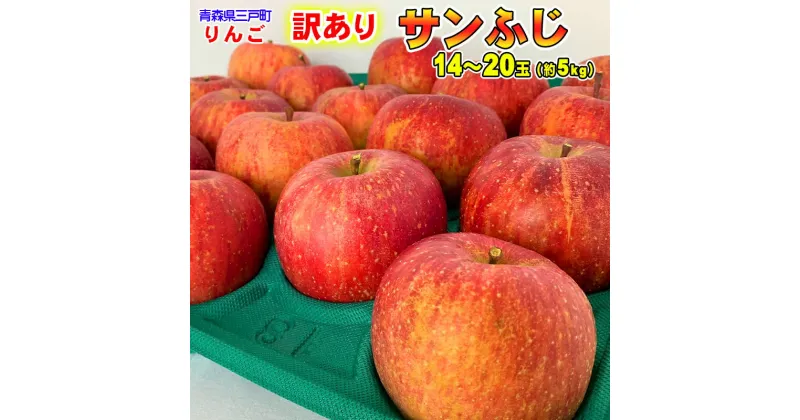 【ふるさと納税】青森りんご 訳あり サンふじ 14～20玉 約5kg【2024年産 先行予約 | 2025年1月中旬頃から順次発送予定】青森県産 リンゴ 三戸町 林檎 フルーツ 果物 農家直送 産地直送 わけあり 家庭用 不揃い 傷あり ふるさと納税 ふるさと