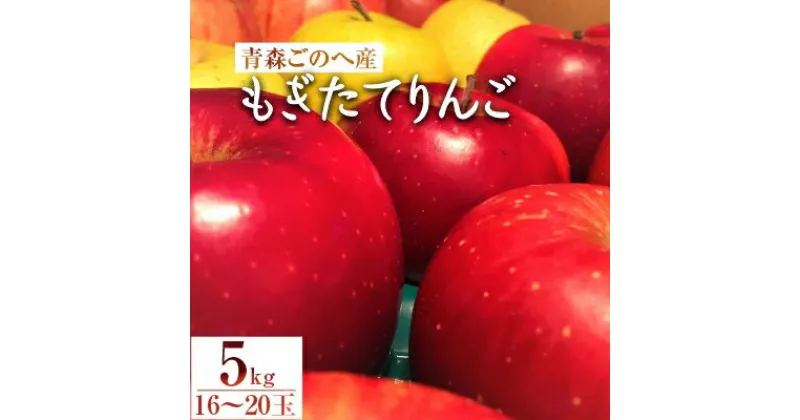 【ふるさと納税】【青森ごのへ産】 もぎたてりんご 5kg(16～20玉)【配送不可地域：離島・沖縄県・中国・四国・九州】【1033632】