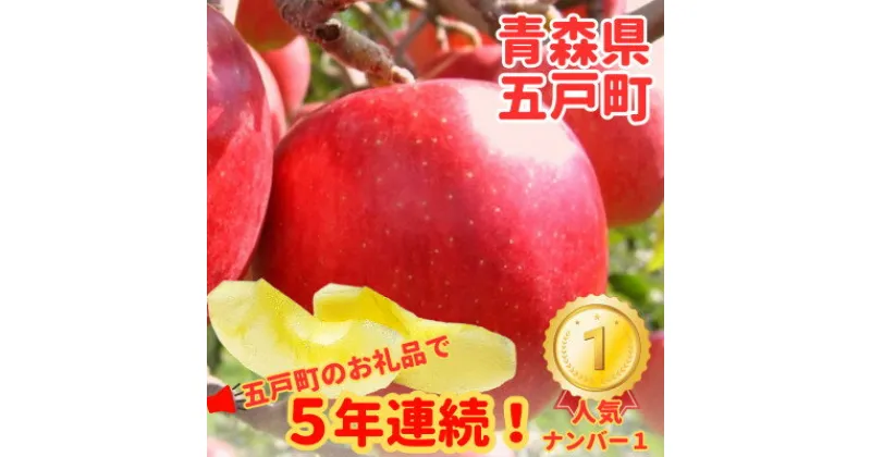 【ふるさと納税】【青森ごのへ産】味に自信 りんご サンふじ 約5kg【配送不可地域：離島・沖縄県・中国・四国・九州】【1034082】